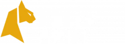 FELIXSPIN Casino United Kingdom – 【Official Website & $1000 Bonus】